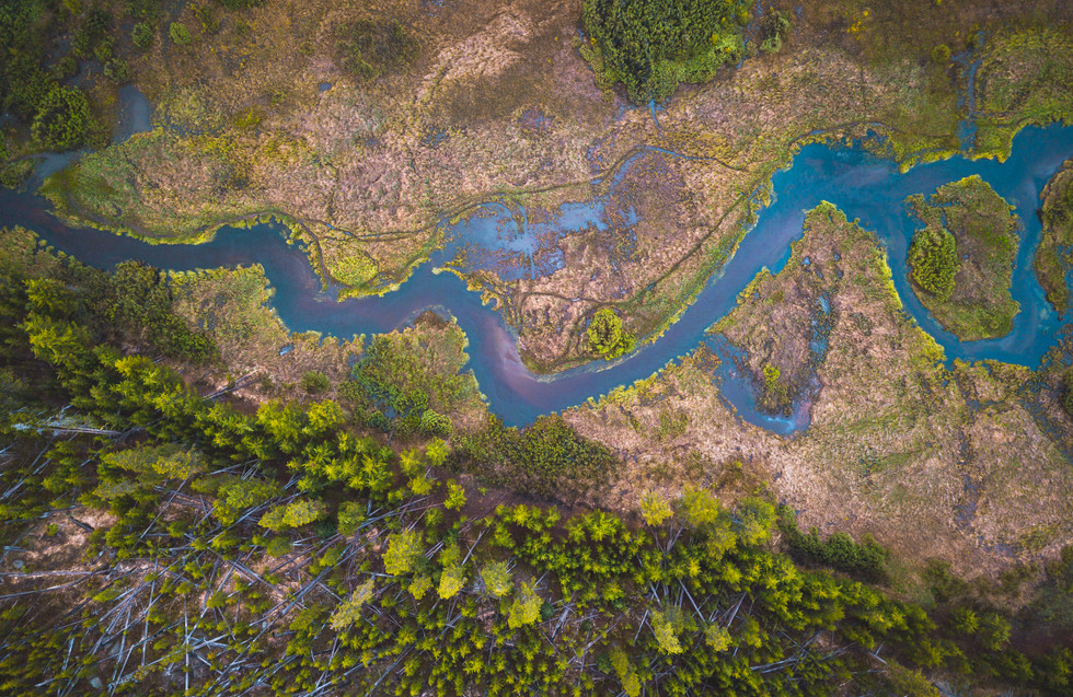 DJI_0077.jpg