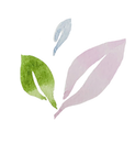 HOJA 7.png