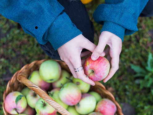 Untitled design (10).png