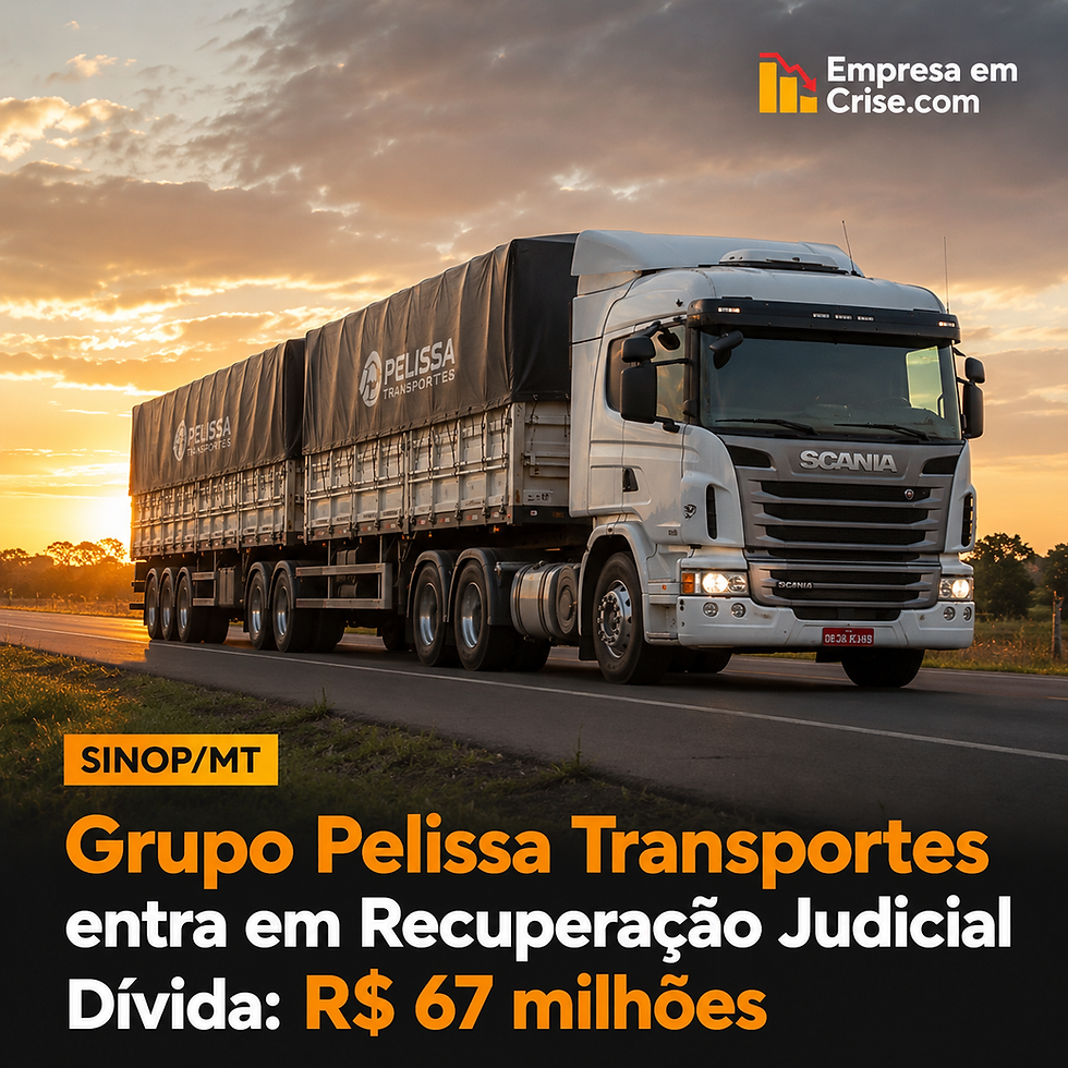 Pelissa Transportes