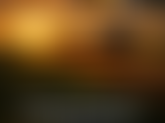 Sapezal/MT: Grupo Bianchi entra em Rec. Judicial - Dívida: R$ 95 milhões