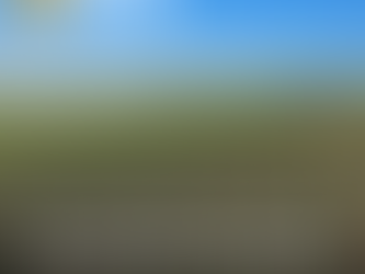 Bom Jesus/RS - Grupo familiar Dois Capões pede recuperação judicial com dívida de R$ 136,4 milhões