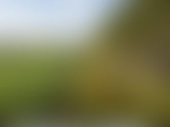 Rondonópolis/MT: Grupo empresarial do produtor Eduardo Machado Silva Filho pede Recuperal Judicial