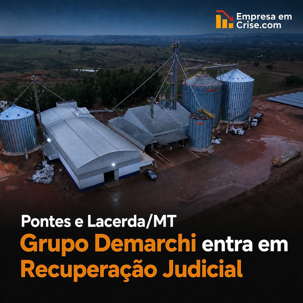 Recuperação Judicial Grupo Demarchi
