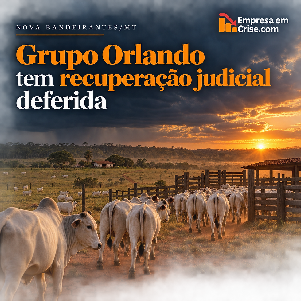 Rebanho de gado branco sendo conduzido por uma estrada de terra em uma propriedade rural, com curral, pastagens e pôr do sol ao fundo. Arte informa: ‘Nova Bandeirantes/MT — Grupo Orlando tem recuperação judicial deferida’.
