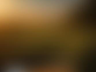 Paranatinga/MT: Grupo Agrodal entra em Recuperação Judicial