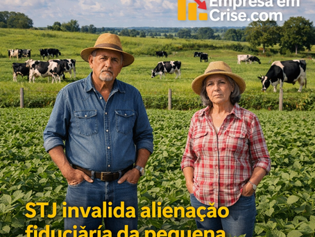 STJ anula alienação fiduciária de pequena propriedade rural