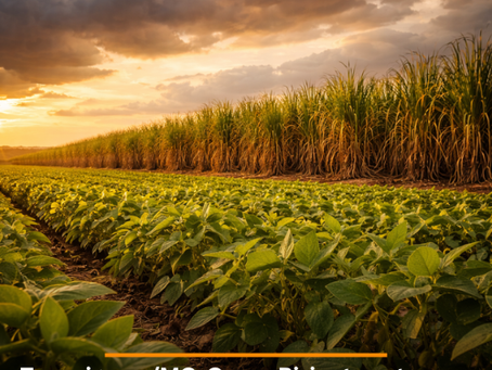 Recuperação Judicial