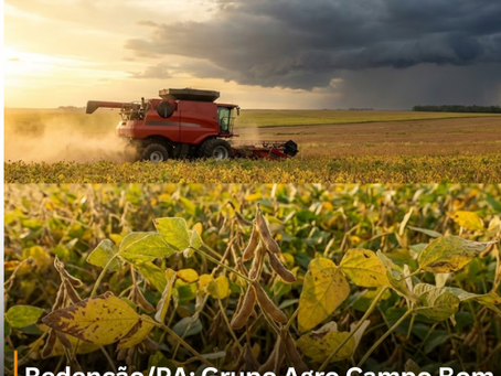 Redenção/PA: Grupo Agro Campo Bom entra em Rec. Judicial - Dívida: 263 milhões