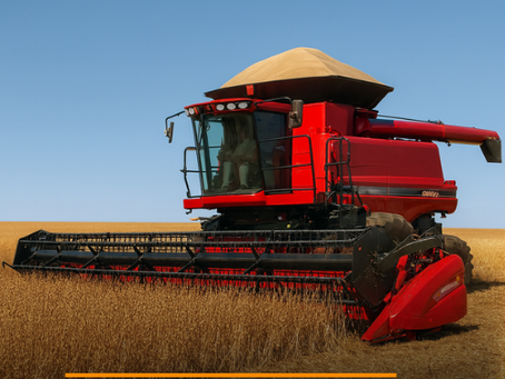 Quedas do Iguaçú/PR: Grupo Bonotto entra em Recup. Judicial - Dívida supera R$ 50 milhões