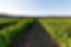 Depositphotos_162063642_xl-2015.jpg
