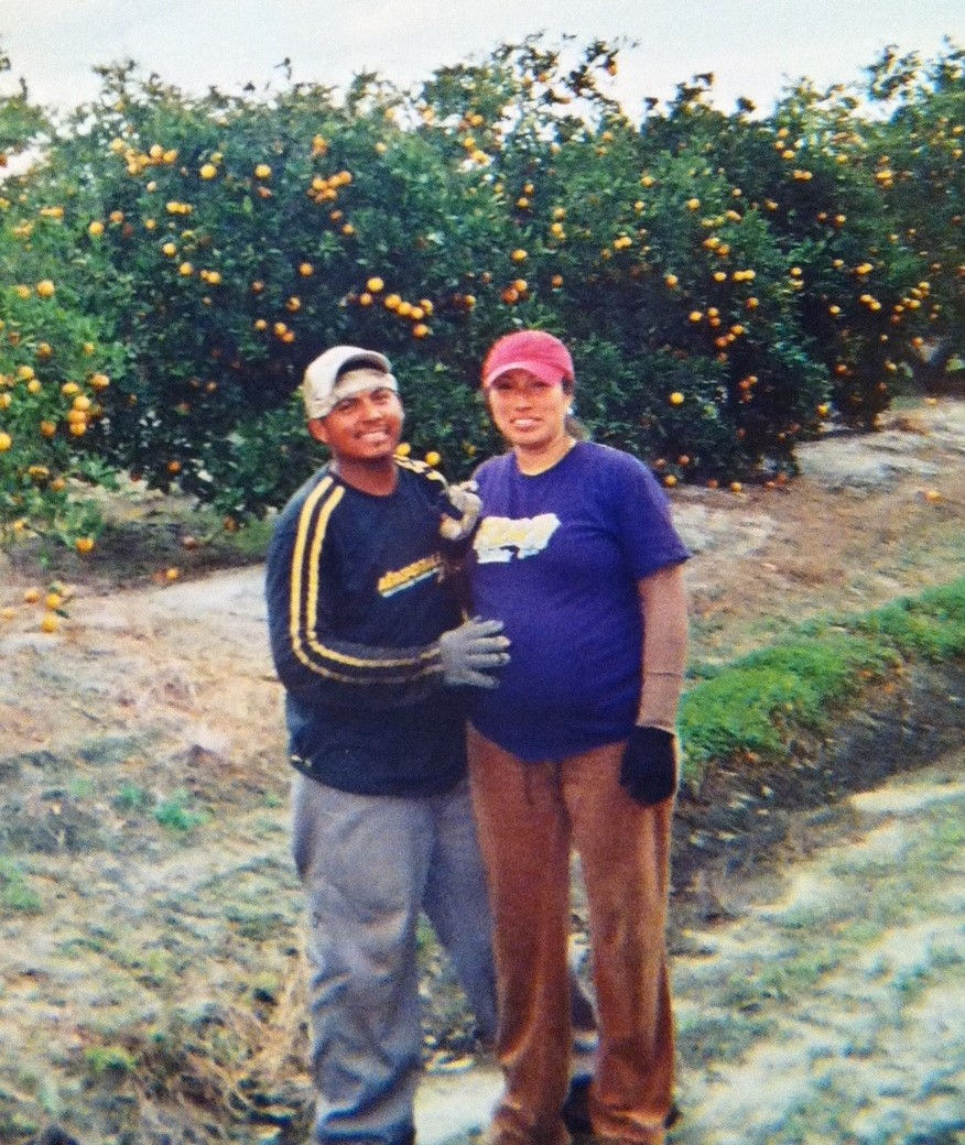 Oranges 2011