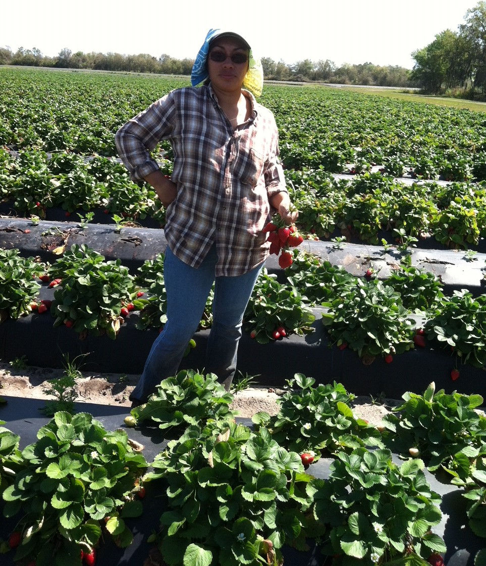 Strawberries