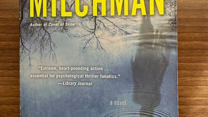 Ruin Falls by Jenny Milchman