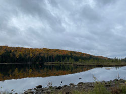 IMG_6363_2.jpg