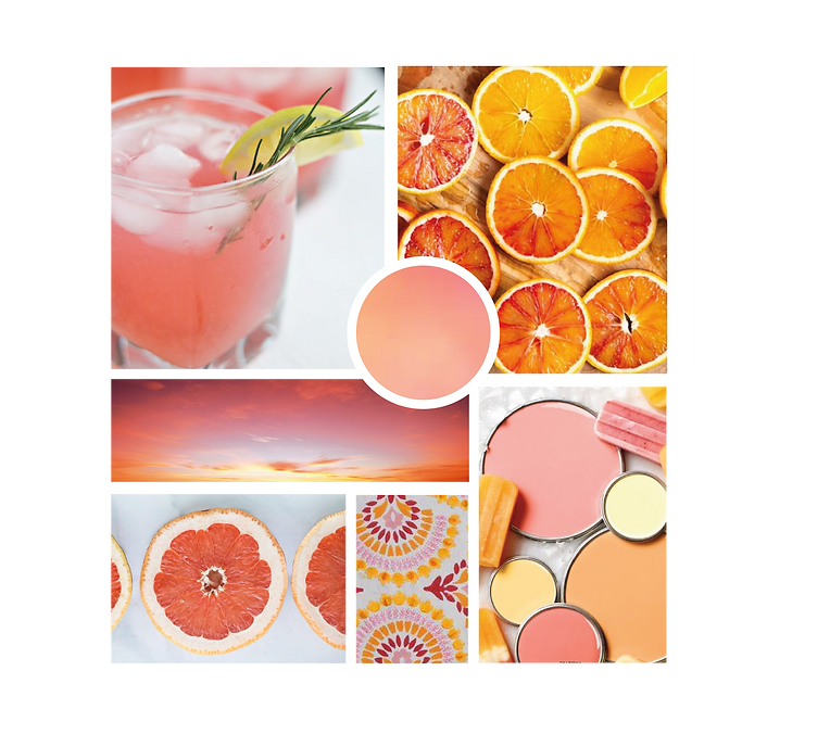 mood boards_Midnight copy 2.png