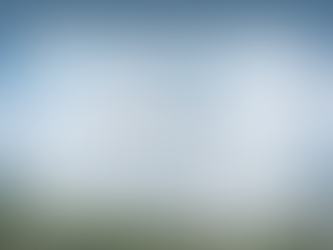 営業メンバー募集!事業拡大に向けた体制強化