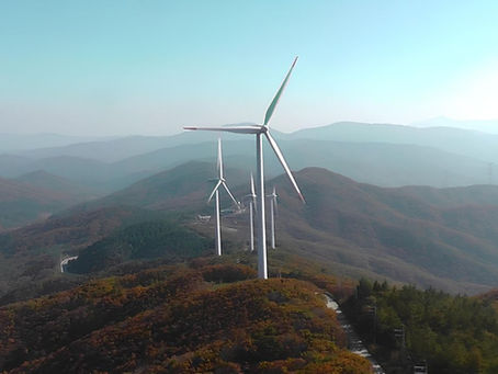 [New Service] Cornis' internal blade inspection service "IntraBlade" will be available this summer!