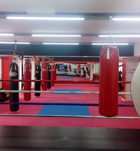 Punching bags inside a ring, inside a boxing gym