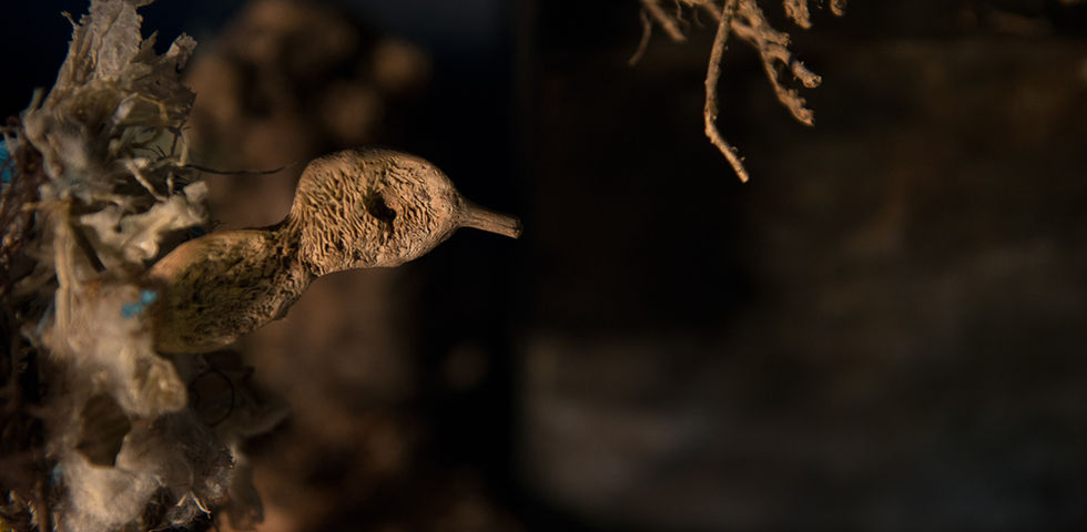 Elias Moubarak, Prunelle Matta, Leila, sea, Camping aamchit, trash, texture, tactile, monster, visual art, surreal, abstract, detritus, world, collaboration, environment