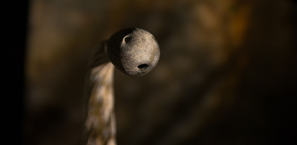 Elias Moubarak, Prunelle Matta, Leila, sea, Camping aamchit, trash, texture, tactile, monster, visual art, surreal, abstract, detritus, world, collaboration, environment