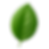leaf.png
