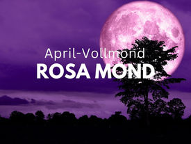 April Vollmond Rosa Mond Pink Moon