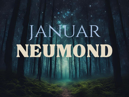Neumond Januar