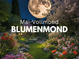 Vollmond Mai Blumenmond