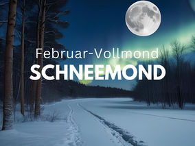 Vollmond Februar Schneemond