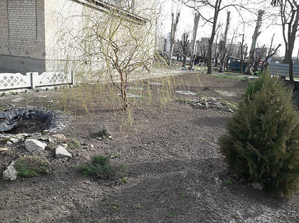 20190402_160719.jpg