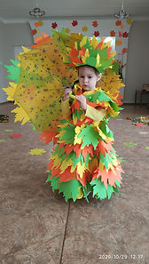 IMG_20201029_121729.jpg