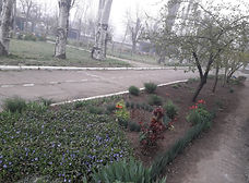 20190411_082514.jpg