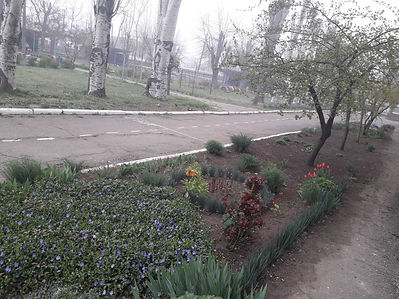 20190411_082514.jpg