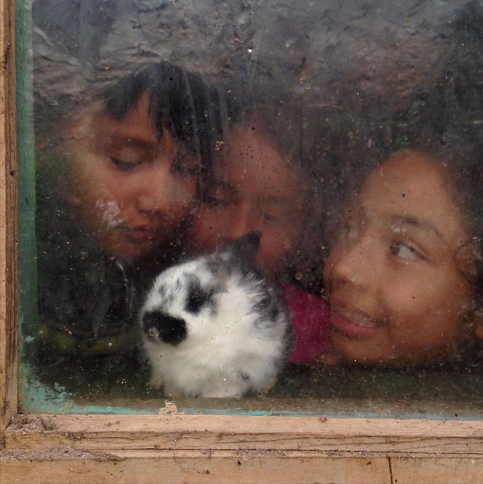 Copia de NIÑOS CON CONEJO.jpg