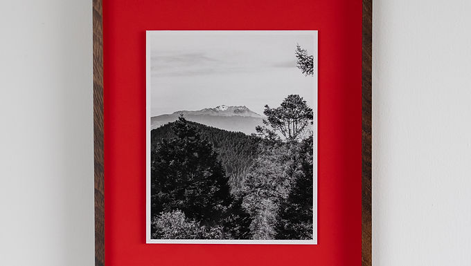 Bosque marco rojo