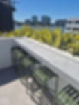 20250417_115535.jpg