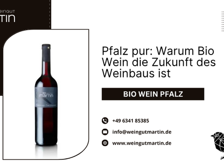 bio wein pfalz