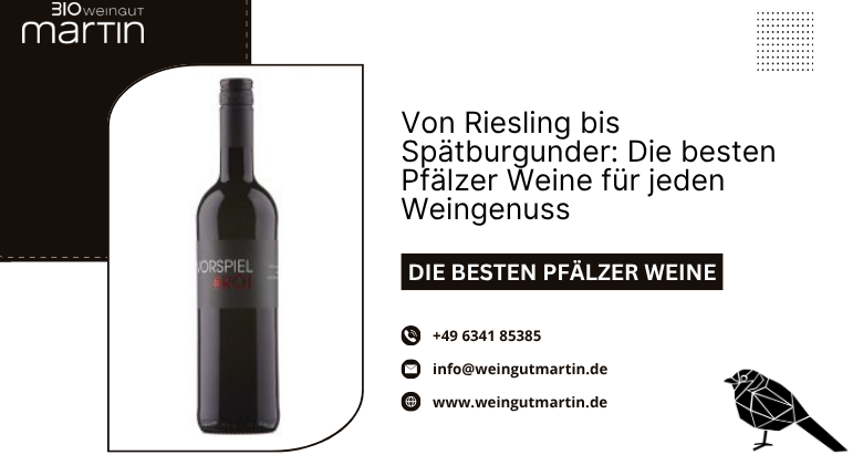 die besten pfälzer weine