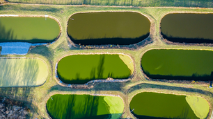 Efluentes líquidos: o risco invisível que gera passivos ambientais nas empresas