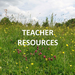 LTF RESOURCES
