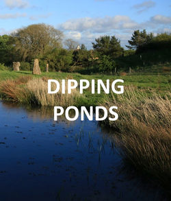 LTF DIPPING PONDS