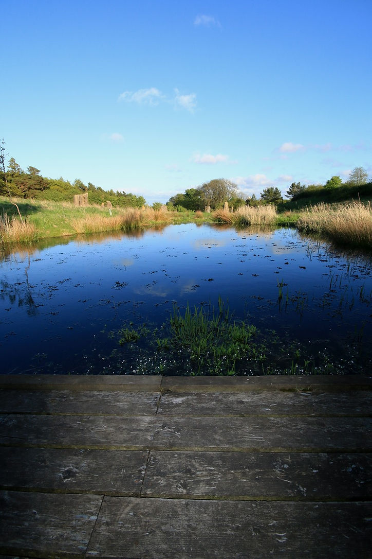 dip pond 02.jpg