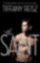 Book Cover of the Saint a Romantic Love Story of a Priest with a Woman, Forbidden Love Book telling to story of a priest falling in Love, Book about a Forbidden Romance of a Priest