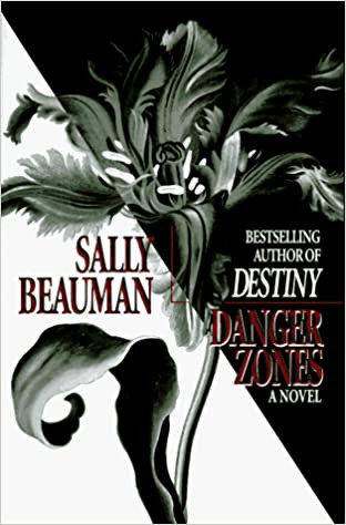 Book Cover Danger Zone Erotica for Women
