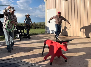 Shared Image (1).png