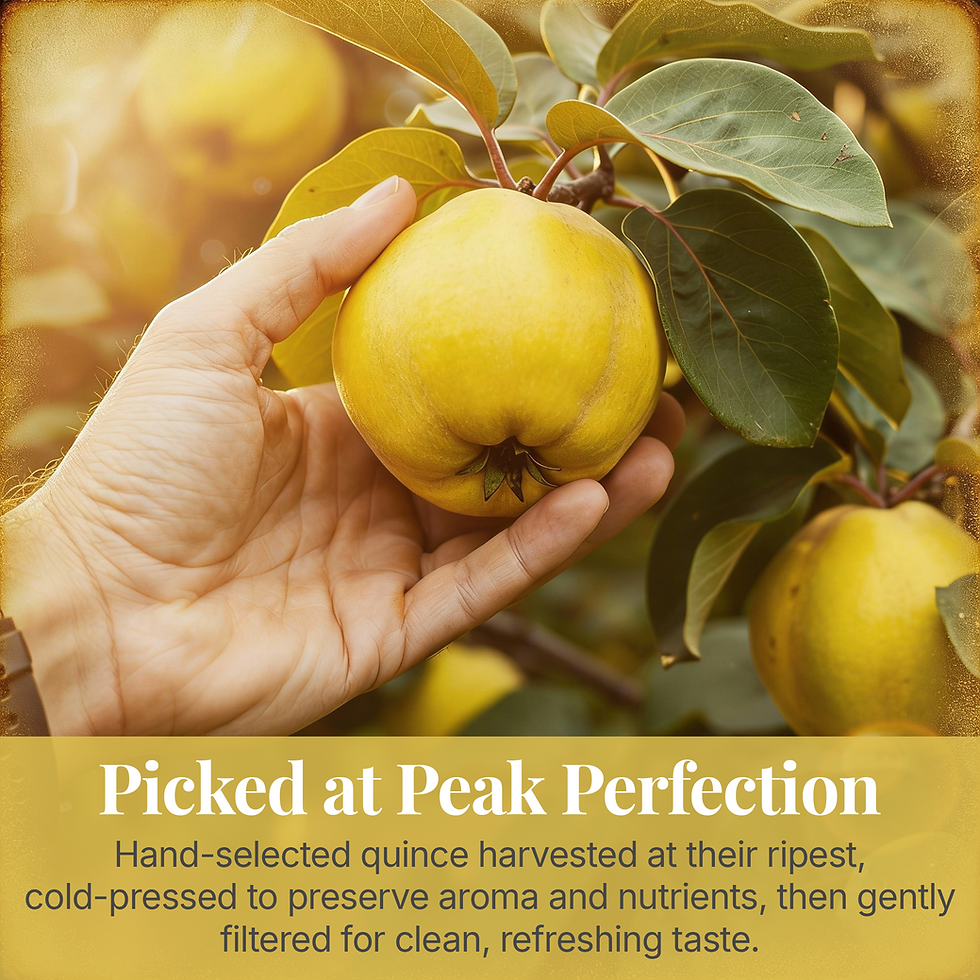 Thumbnail: Pure Quince Juice — 33.8 oz • Case of 4