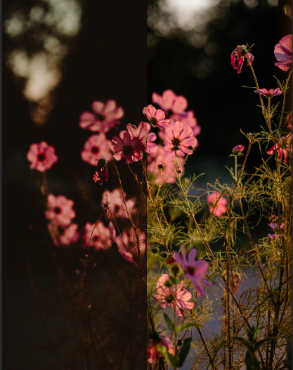 signature style | brighter style