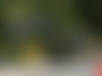 Cameron Elementary School Replacement Project (Burnaby, BC) - 2026 Construction Overview