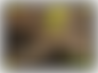 Increasing soil fertility: plant and microorganism symbiosis